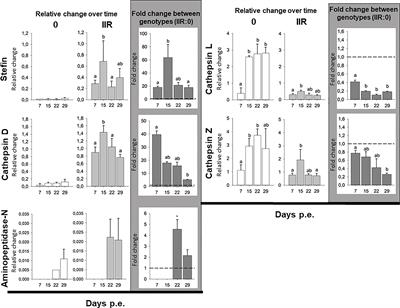 Proteases as Therapeutic Targets Against the Parasitic Cnidarian Ceratonova shasta: Characterization of Molecules Key to Parasite Virulence In Salmonid Hosts